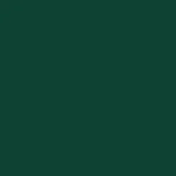 Smalto ad acqua brillante 2in1 OBI verde muschio 125 ml
