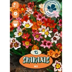 Sparaxis "Mix"