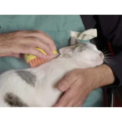 Spazzola rimuovipelo con nebulizzatore