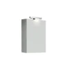 Specchio contenitore 1 anta grigio silver 50x15x68 cm