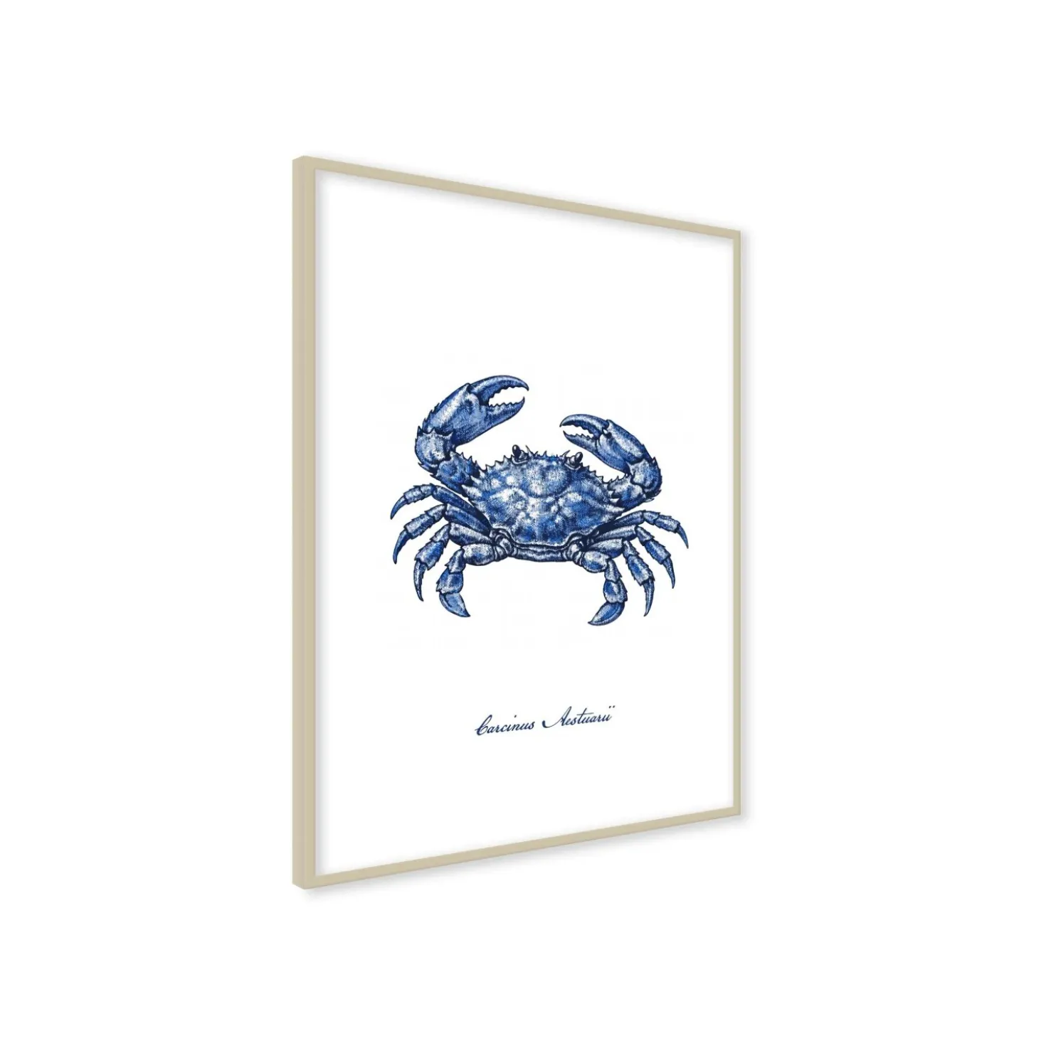 Stampa incorniciata 30x40 cm blue crab