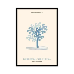 Stampa incorniciata 50x70 cm coral reef