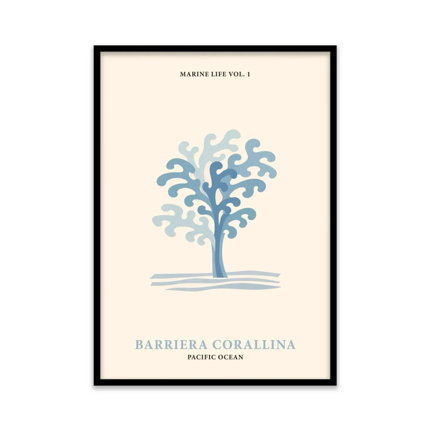 Stampa incorniciata 50x70 cm coral reef