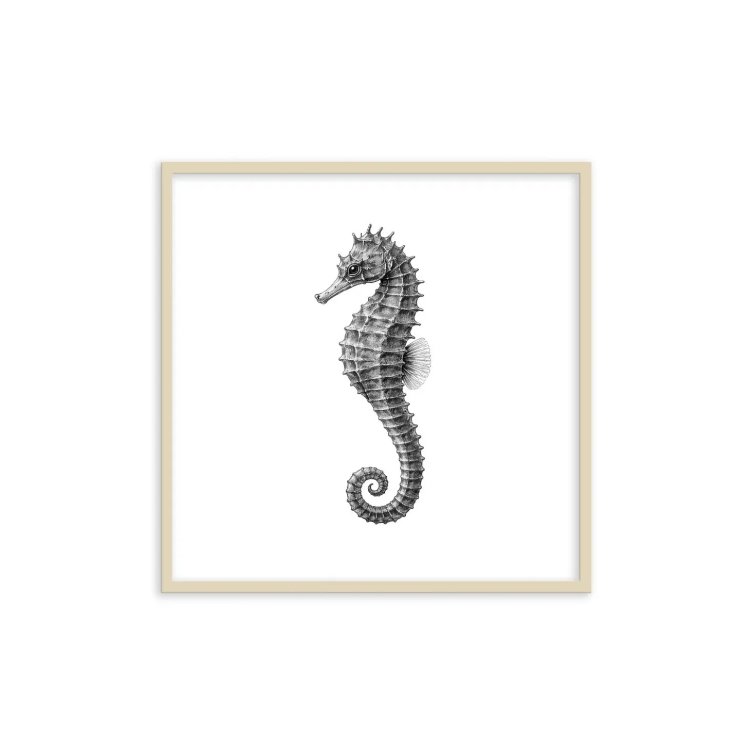 Stampa incorniciata 30x30 cm sea fin