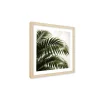 Stampa incorniciata 25x25 cm set piante - palm