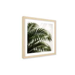 Stampa incorniciata 25x25 cm set piante - palm