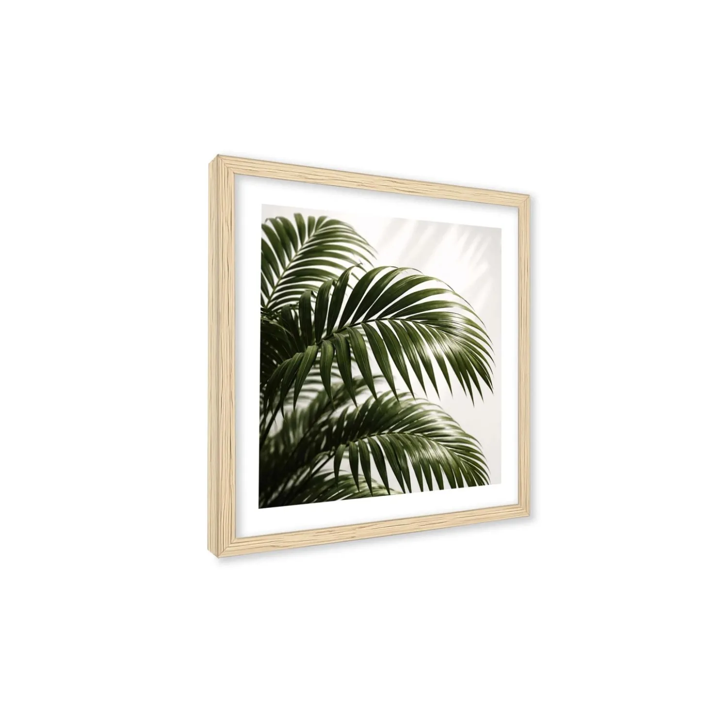 Stampa incorniciata 25x25 cm set piante - palm