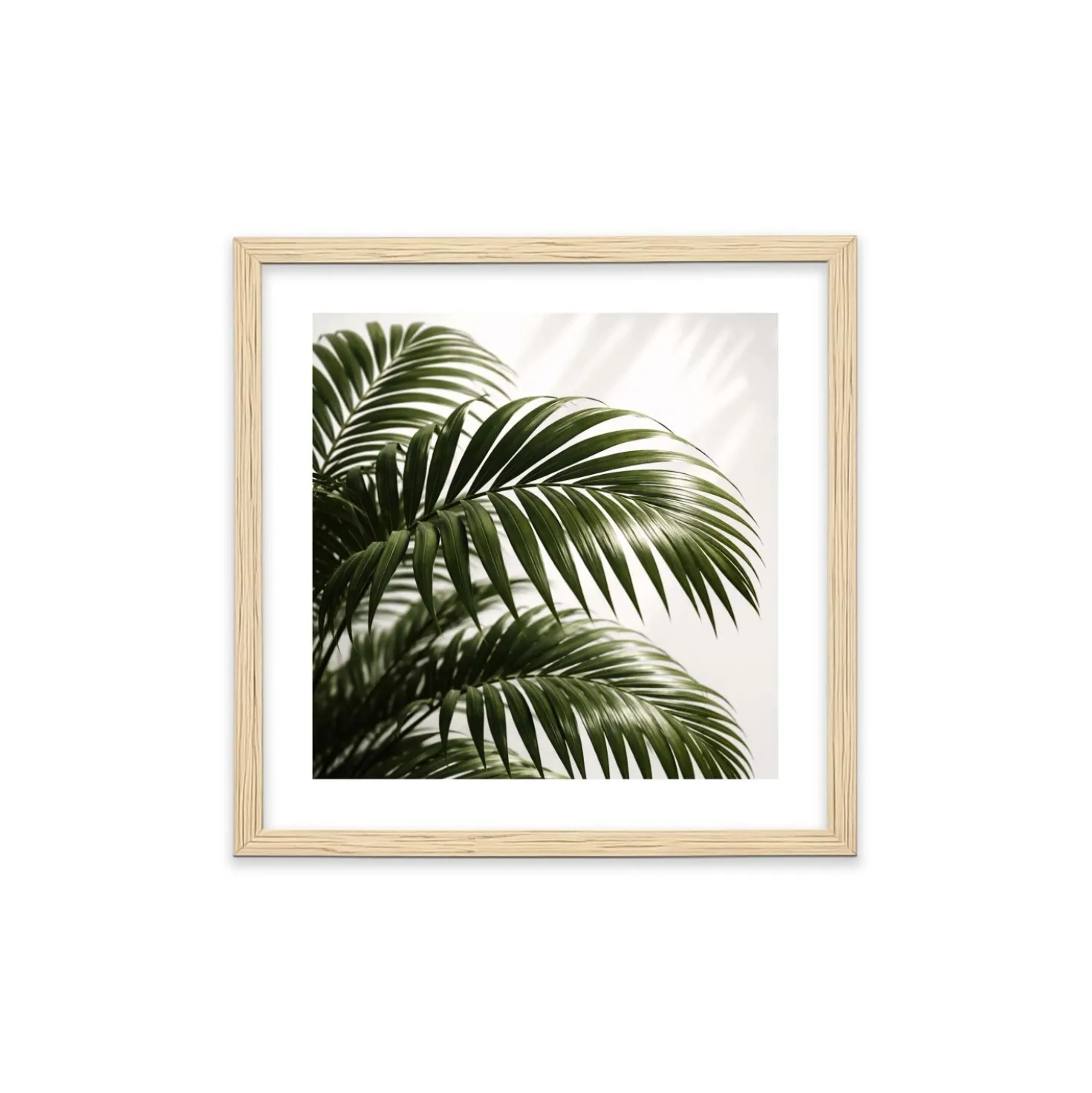 Stampa incorniciata 25x25 cm set piante - palm