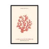 Stampa incorniciata 50x70 cm coral