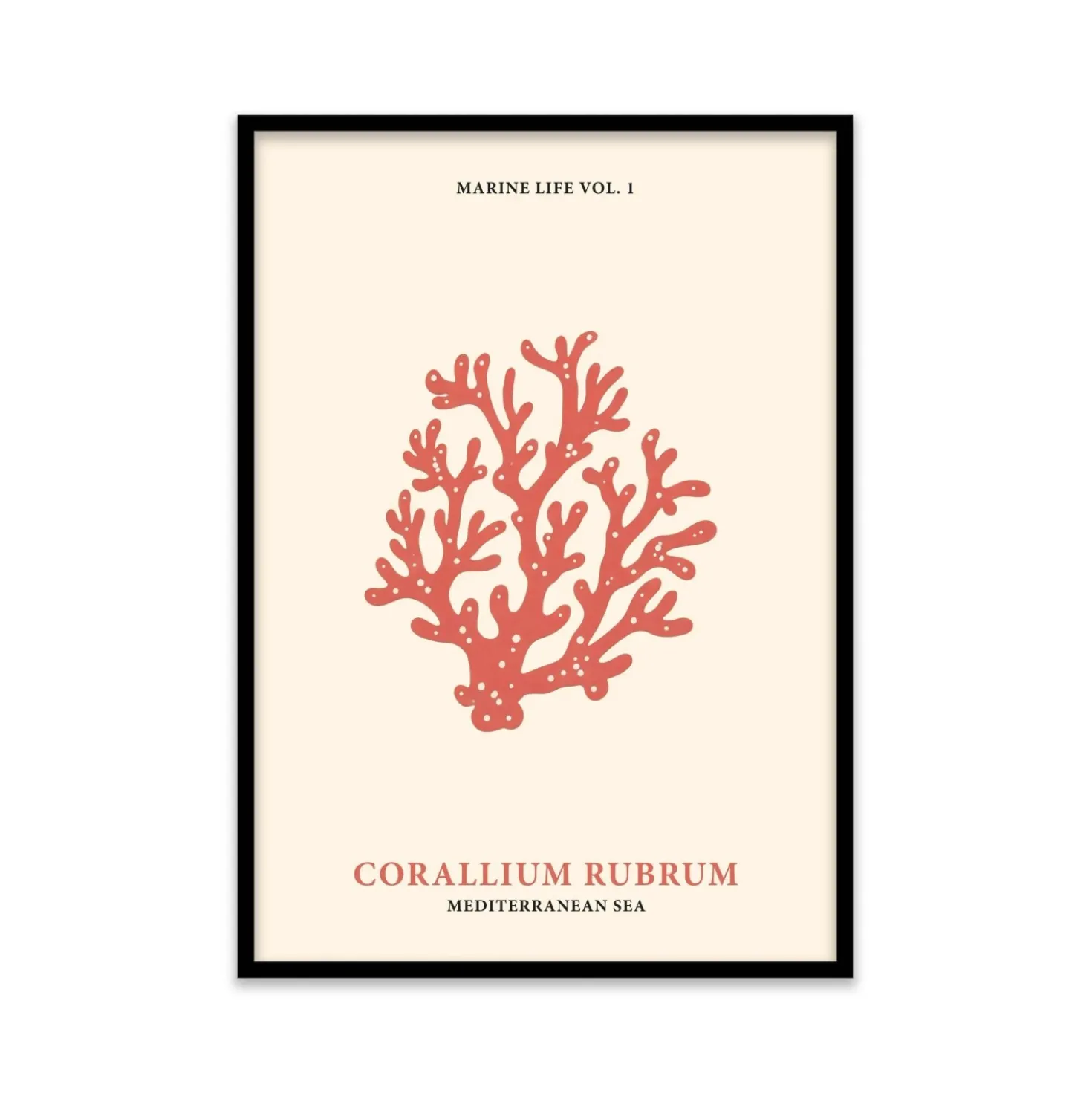 Stampa incorniciata 50x70 cm coral