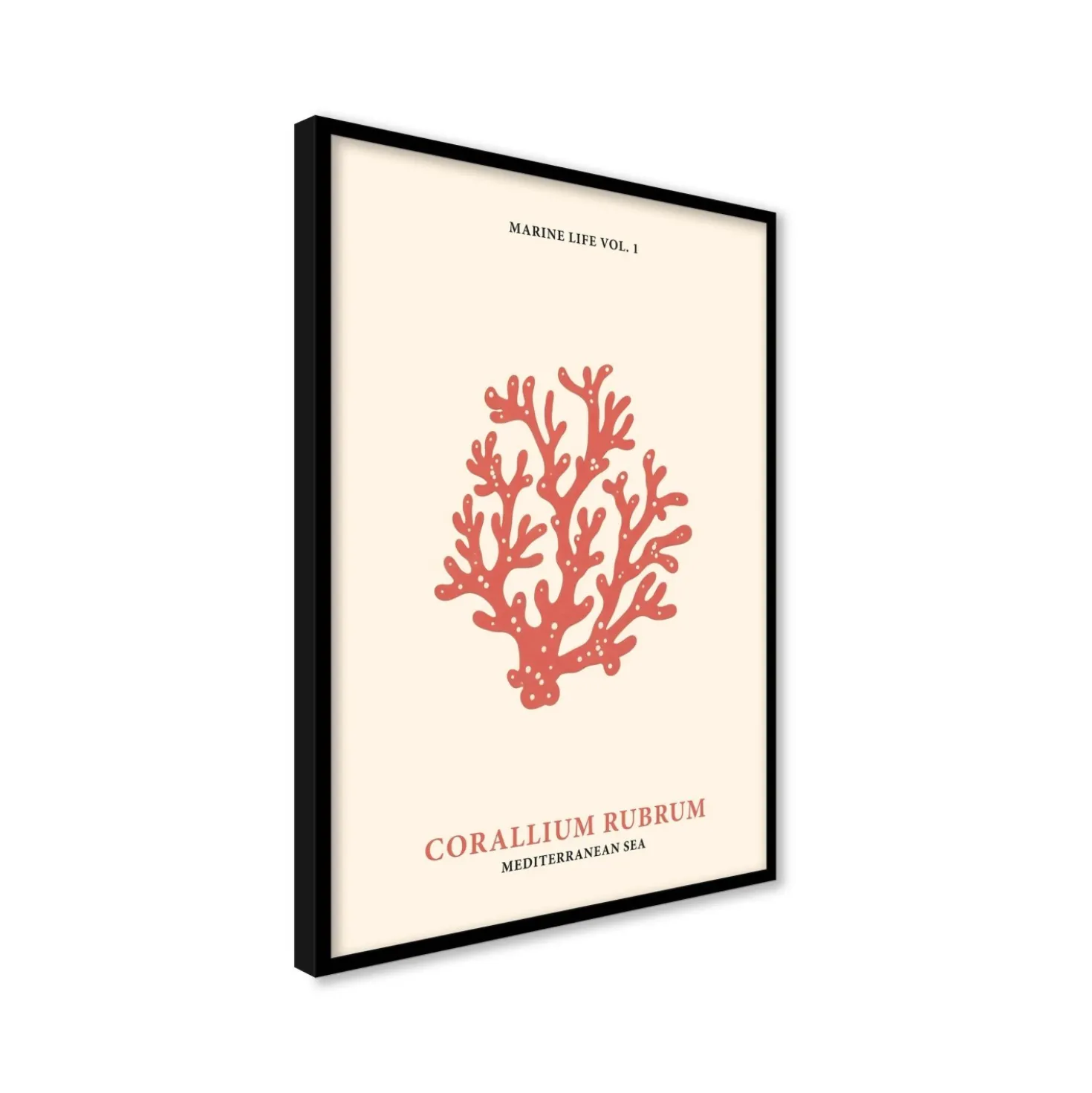 Stampa incorniciata 50x70 cm coral