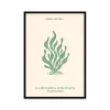 Stampa incorniciata 50x70 cm seaweeds