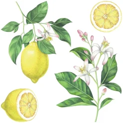 Stciker adesivo Lemons 2 fogli decorazione per parete 31x31 cm