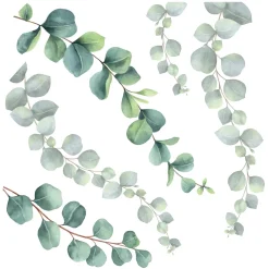 Sticker autoadesivo 2fg 31x31 cm eucalyptus