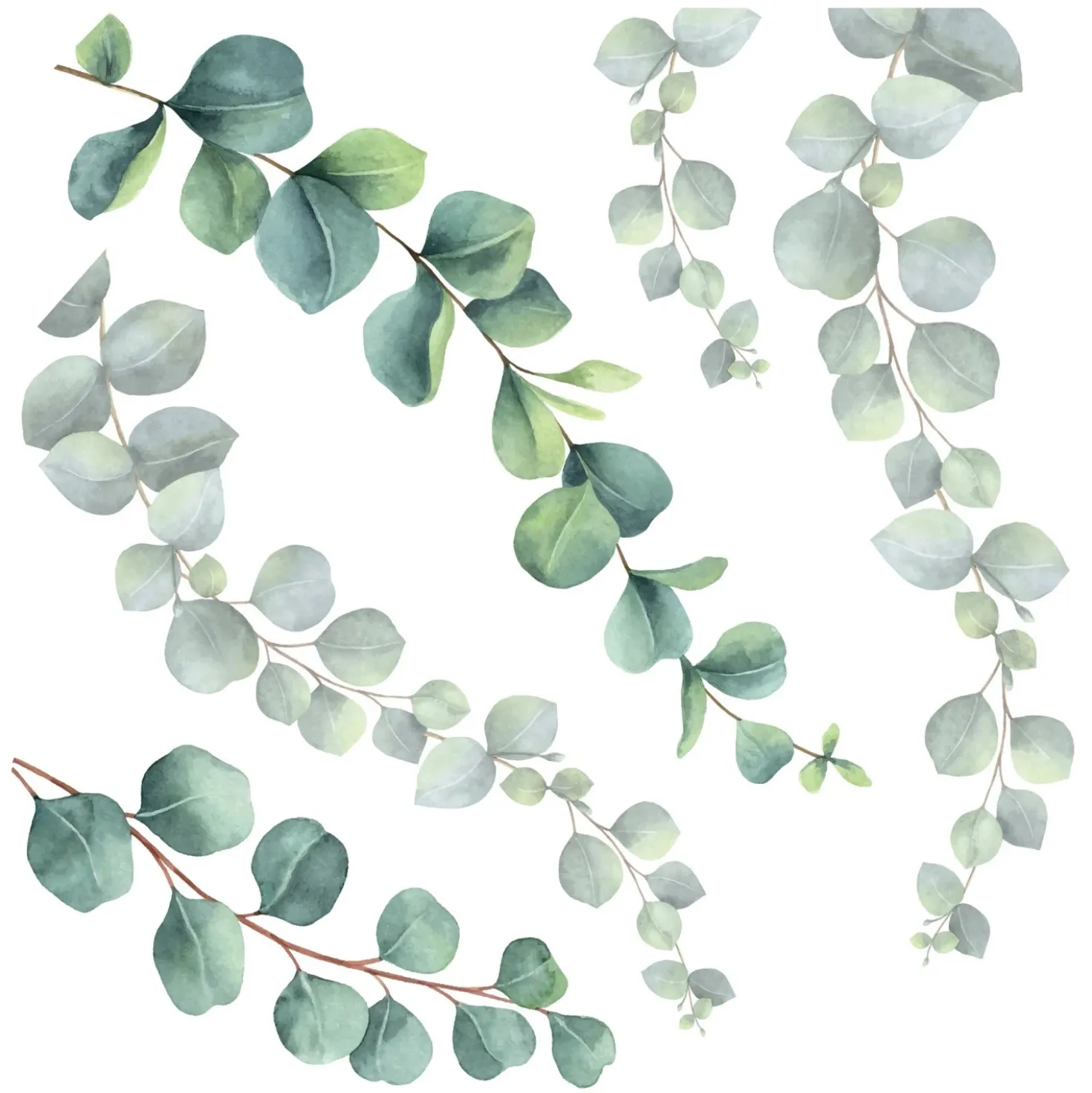Sticker autoadesivo 2fg 31x31 cm eucalyptus