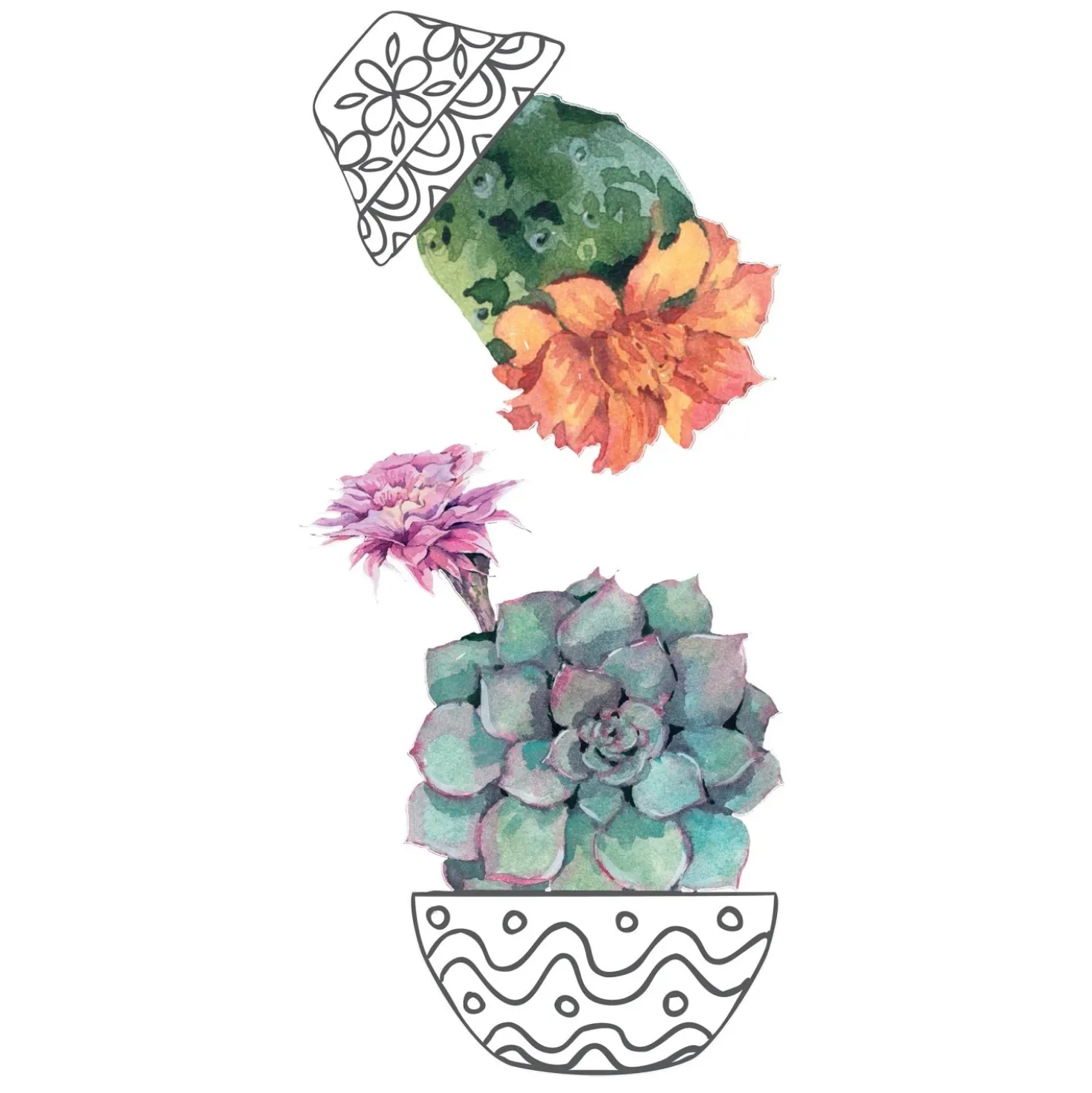 Sticker autoadesivo 2fg 15x31 cm cactus vases
