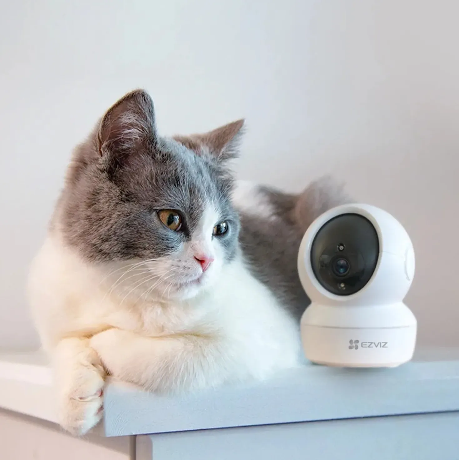 Telecamera WiFi da interno Ezviz C6N Smart Home