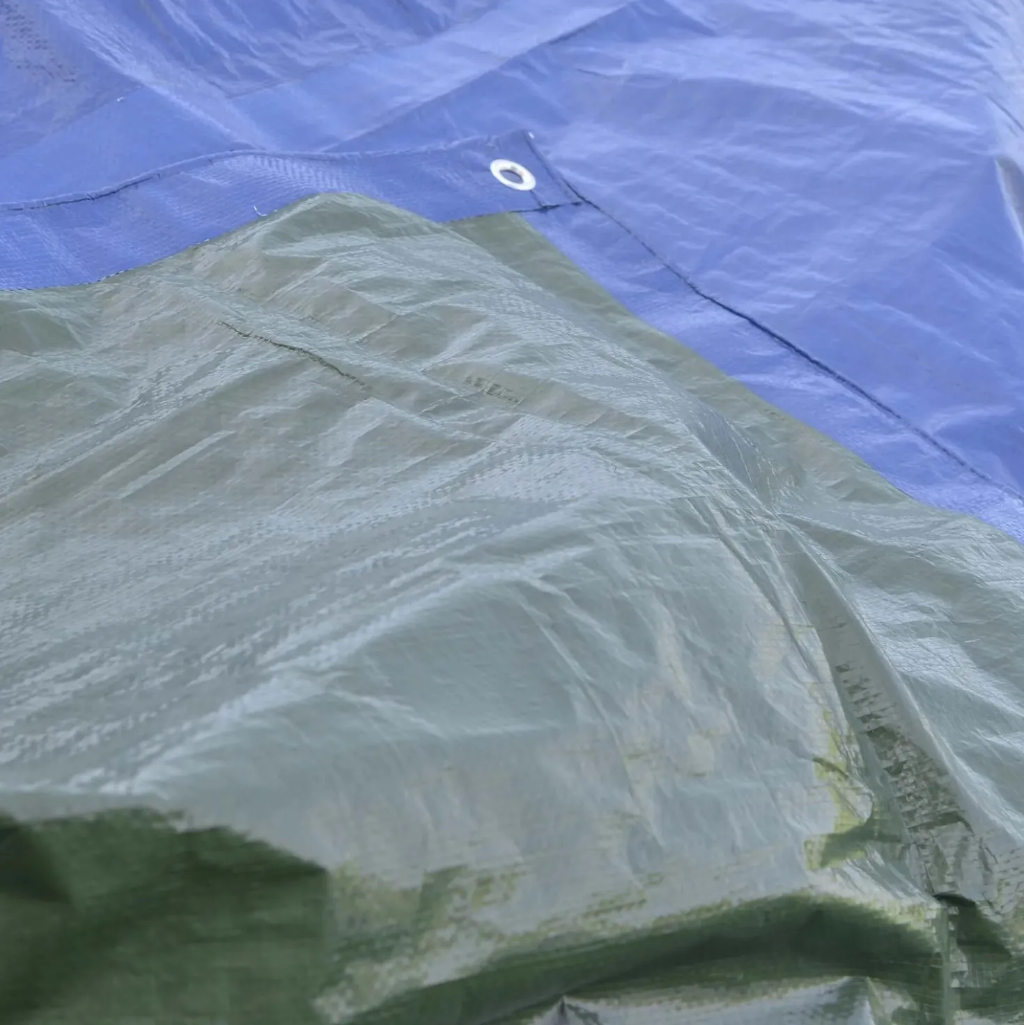 Telo occhiellato multiuso Tenax Cover All in polietilene 2x6 m verde-blu