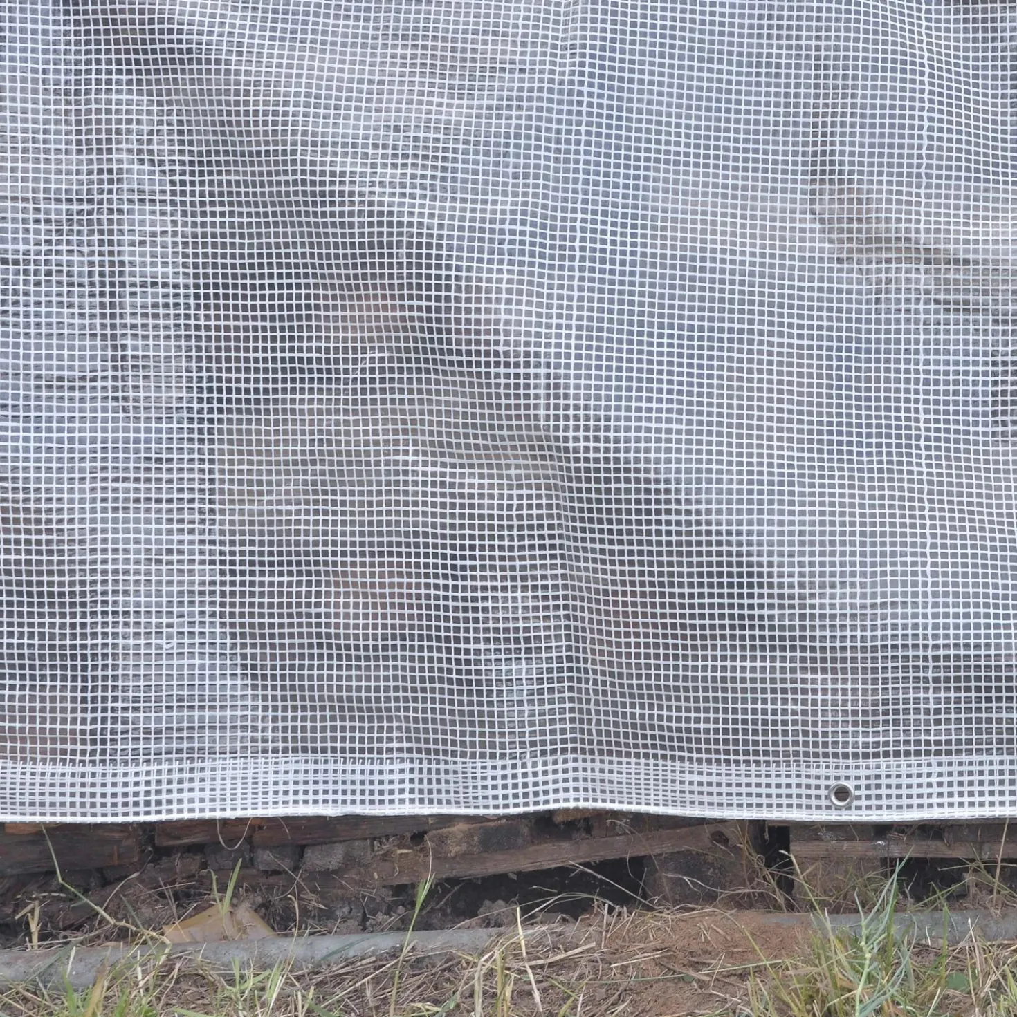 Telo occhiellato retinato Tenax Cover All polietilene 2x3 m bianco-trasparente