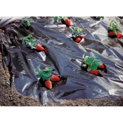 Telo pacciamatura microforato 1,5 m x 10 m