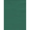 Tenda da sole a caduta verticale con rullo 150x250 cm verde