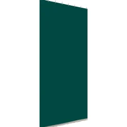 Tenda da sole a caduta verticale con anelli 145x300 cm verde
