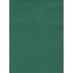 Tenda da sole a caduta verticale con anelli 145x300 cm verde