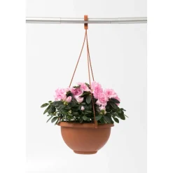 Terrae Basket con gancio universale 25 cm in plastica