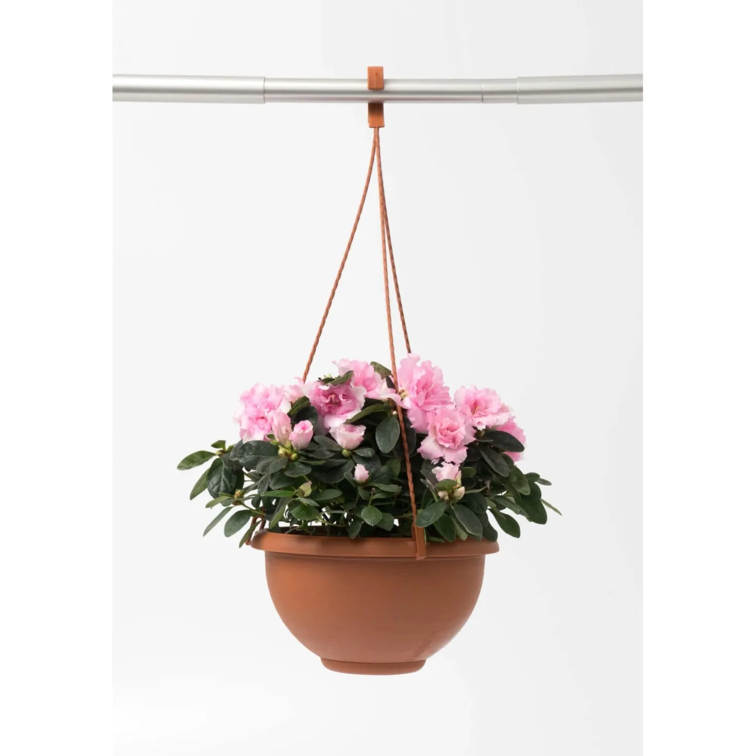Terrae Basket con gancio universale 25 cm in plastica