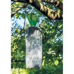 Trappola per Popillia Japonica