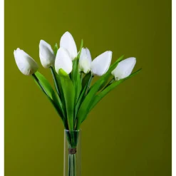 Tulipano mazzo 37 cm