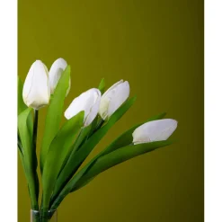 Tulipano mazzo 37 cm