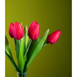 Tulipano mazzo 37 cm