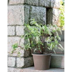 Vaso per piante Deroma Cilindro Primitivo Ø 33 cm grafite