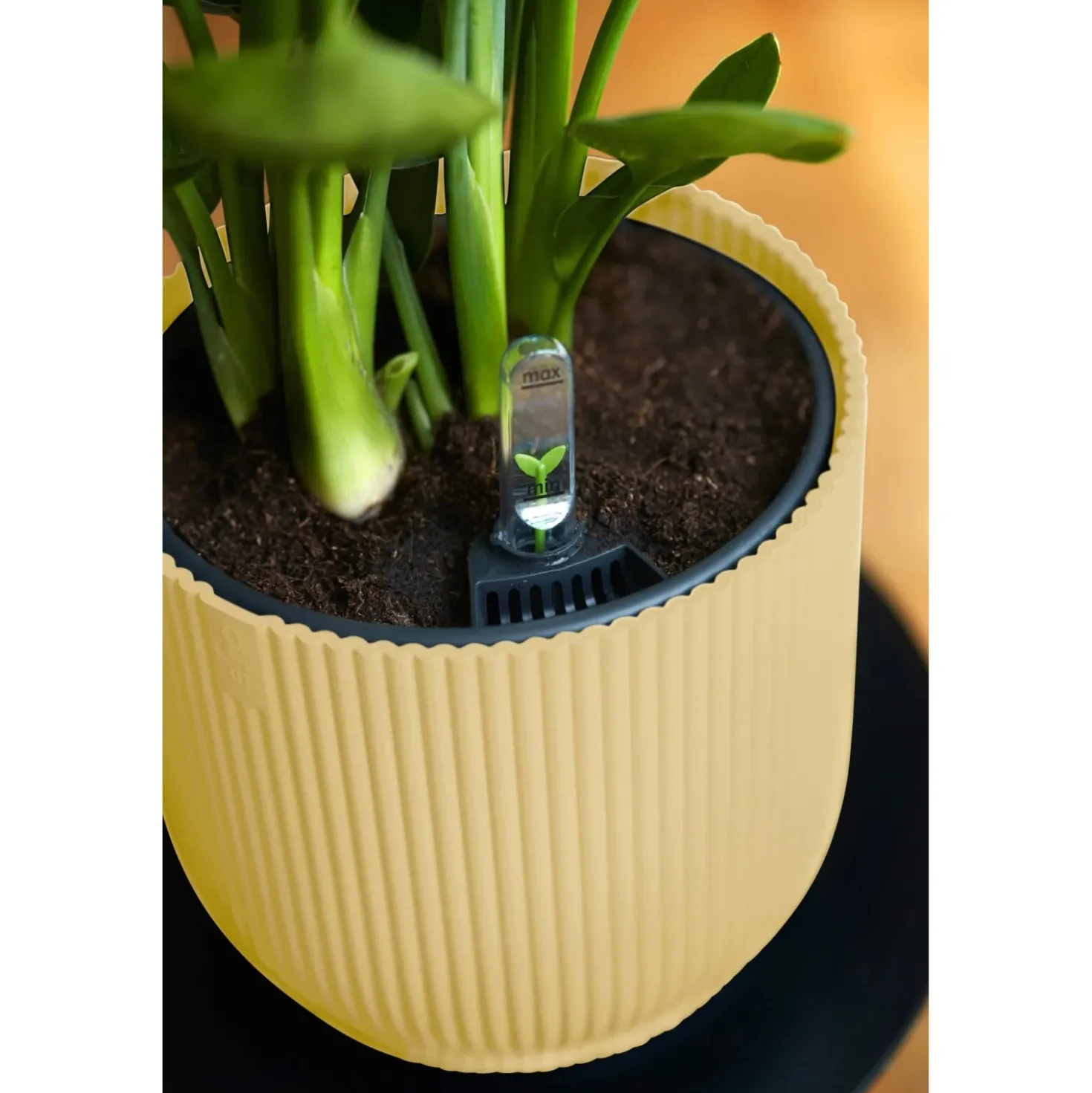 Vaso per piante Elho Vibes Fold Ø 18x17 cm giallo burro