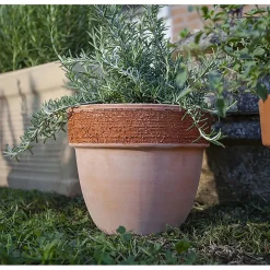 Vaso per piante Patavium in terracotta graffiato ø 20 cm