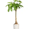 Vaso per piante rotondo Elho B.For Soft Ø 24,7 cm bianco
