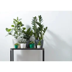 Vaso per piante rotondo Elho Brussels Mini Ø 12,5 bianco