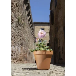 Vaso per piante Standard in terracotta ø 21 cm