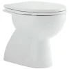 Vaso WC in ceramica Geberit Colibri a terra con scarico a pavimento